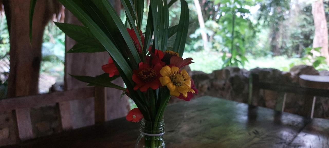 Lacanjá Eco Hotel Sak Nok מראה חיצוני תמונה